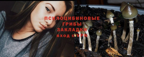 соль ск Балабаново