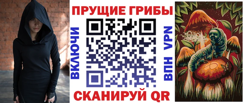 купить закладку  Кяхта  сайты даркнета официальный сайт  Псилоцибиновые грибы прущие грибы 